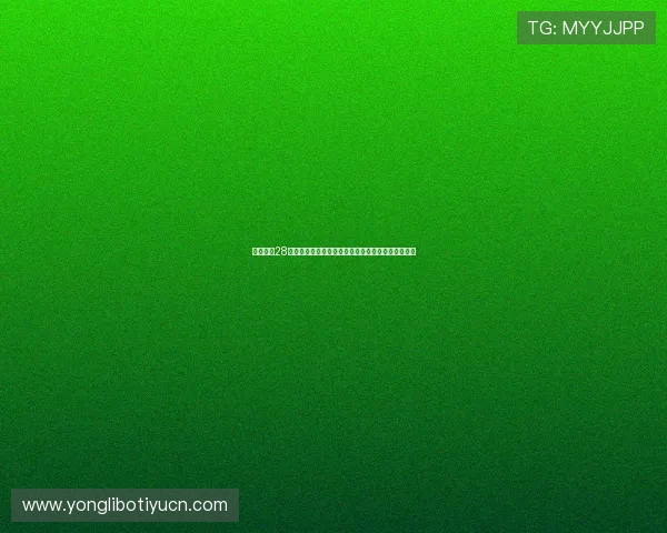 永利总站28登录入口最新更新，确保用户顺畅体验高效登录流程